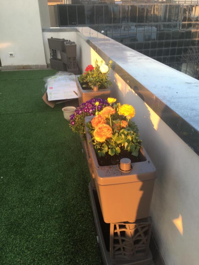 B&B Il Glicine Pescara Centro Bagian luar foto